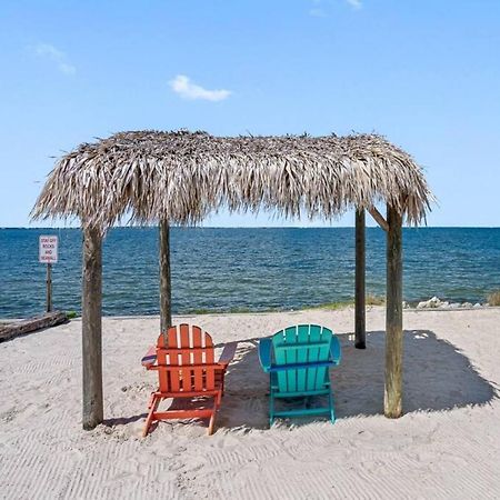 Stunning Bay Views From Your Private Balcony Tampa Eksteriør billede